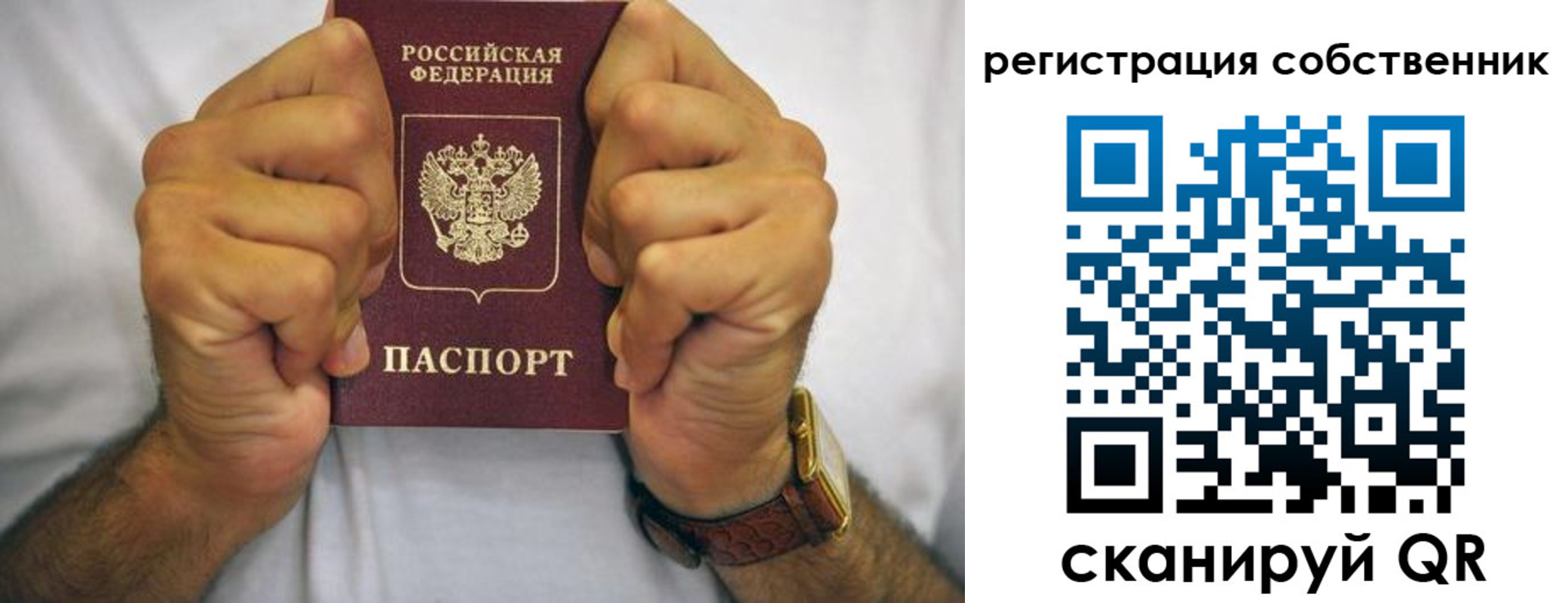 временная регистрация в Волосово